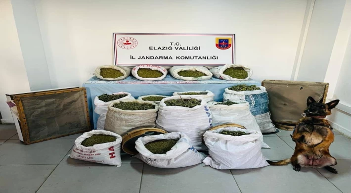 Elazığ’da 241 Kilo Esrar Ele Geçirildi