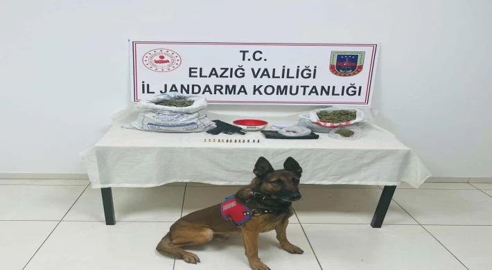 Elazığ'da Uyuşturucu Operasyonu: 2 Gözaltı