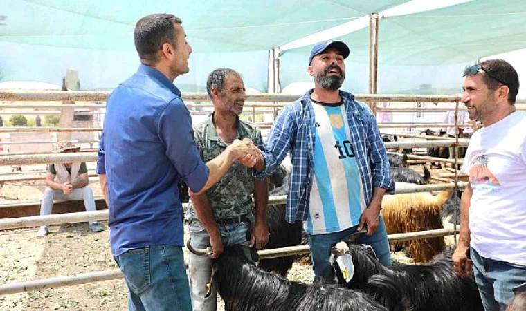 Elazığ Kurbanlık Satışında Rekor Kırdı