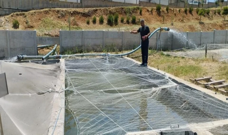 Elazığ’da Su Ürünleri AR-GE Merkezinde Üretim Çalışmaları Sürüyor