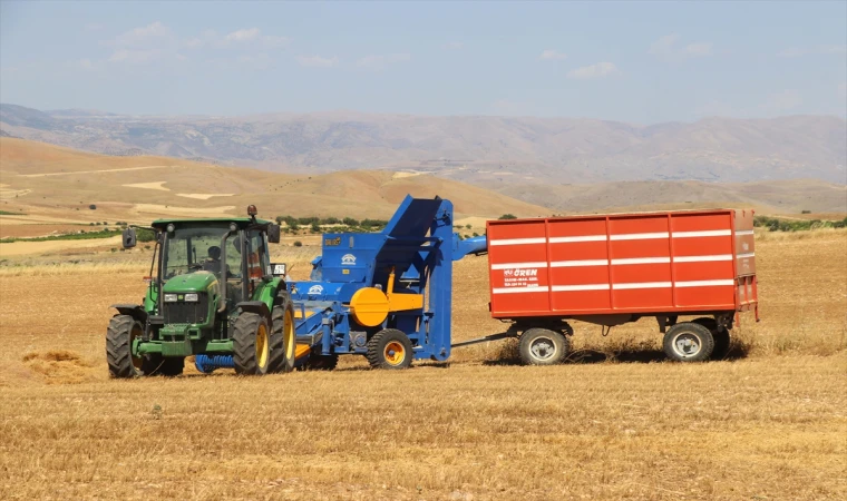 Elazığlı Üreticiler Mercimekte Verimi Artırdı