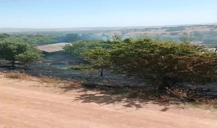 Alevler Evlere Sıçramadan Söndürüldü