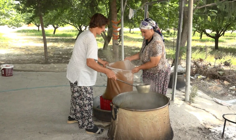 Şifa Deposu Kuru Dut Pekmezi Köylerde Yapılmaya Başladı