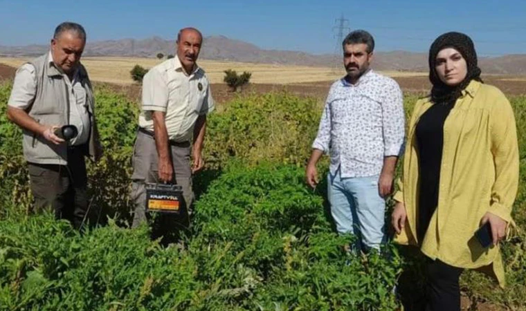 Elazığ’da Bıldırcın Sesi Çıkaran Cihaz Ele Geçirildi