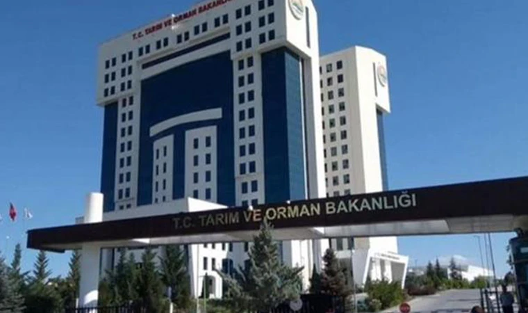 Elazığ’da da Olabilir! Sahte Gıda Ürünü Satan Markalar Belli Oldu