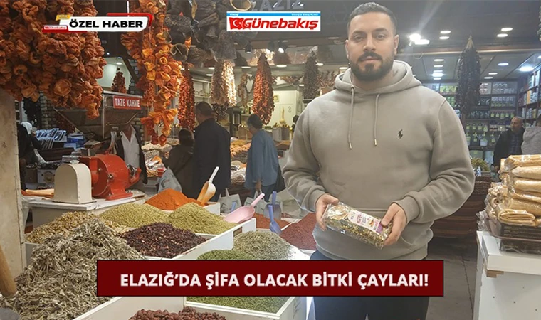 Elazığ’da Şifa Olacak Bitki Çayları!