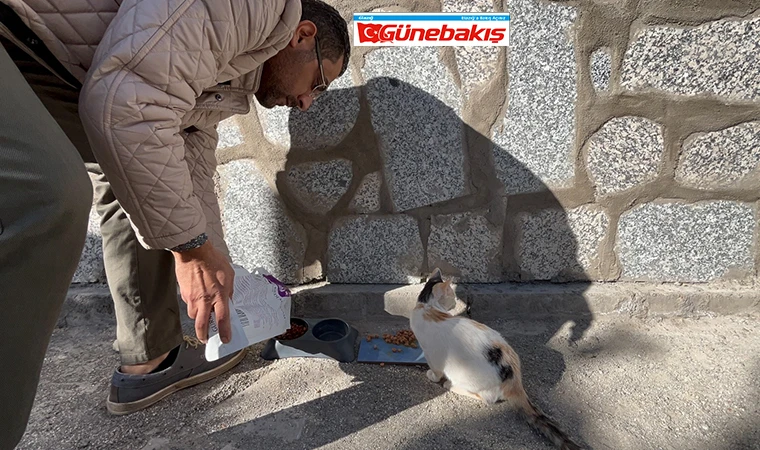 Engelli Kedinin Bakımı İçin 60 Kilometre Yol Gidiyor