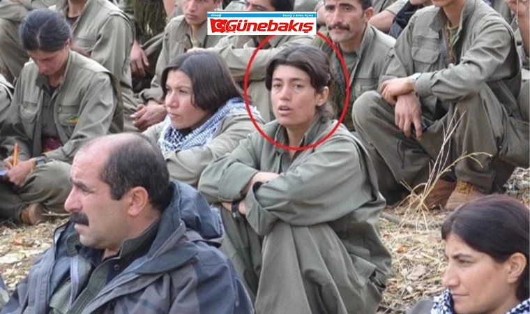 MİT'ten PKK'ya Nokta Operasyon! 