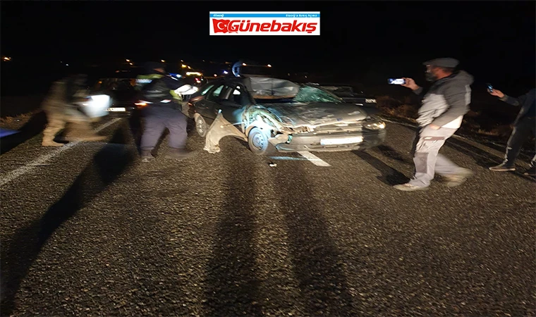 Yola Çıkan İneğe Çarpan Otomobildeki 3 Kişi Yaralandı