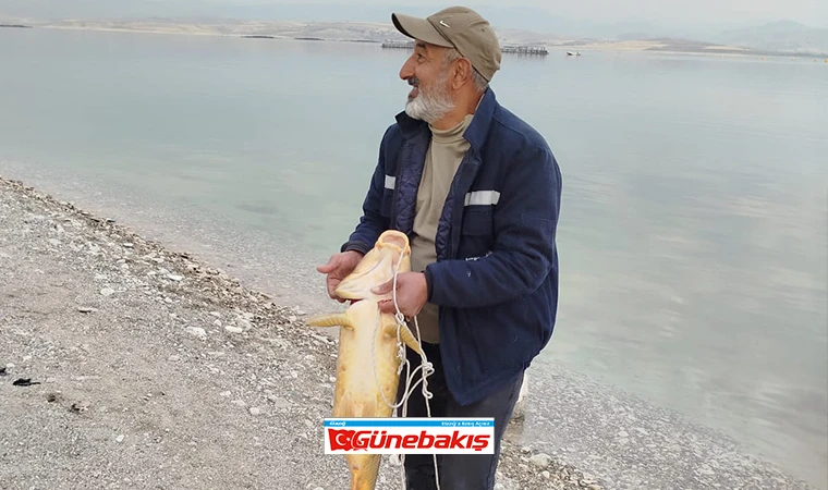 Bu Kez 21 Kiloluk Sazan Yakaladı, Mutluluğu Tebessüm Ettirdi