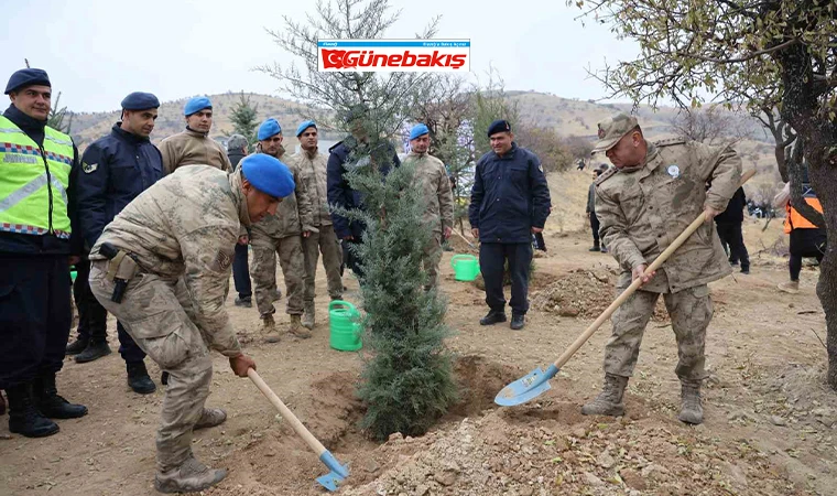 Elazığ’da 2 Bin 300 Fidan Toprakla Buluştu