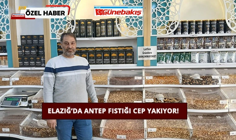 Elazığ’da Antep Fıstığı Cep Yakıyor!