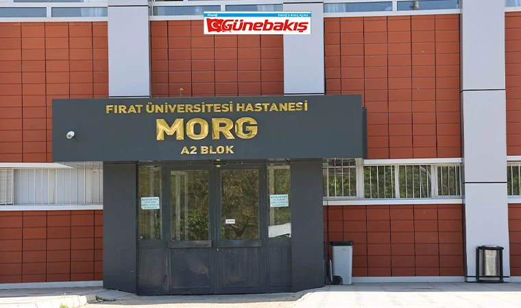 Elazığ'da Doktorun Ölümünün Detayları Belli Oldu