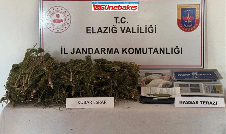 Elazığ’da Evde 3 Kilo 200 Gram Esrar Ele Geçirildi: 1 Gözaltı