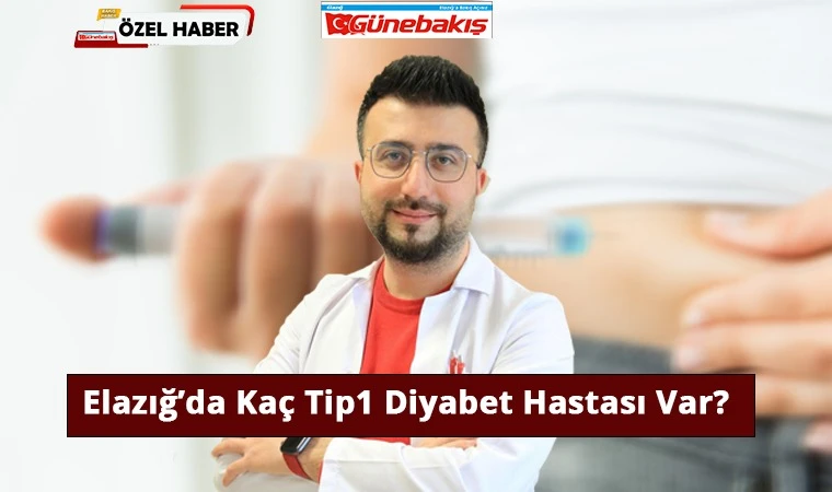 Elazığ’da Kaç Tip1 Diyabet Hastası Var?