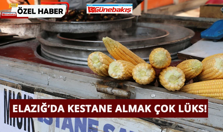 Elazığ’da Kestane Almak Çok Lüks!