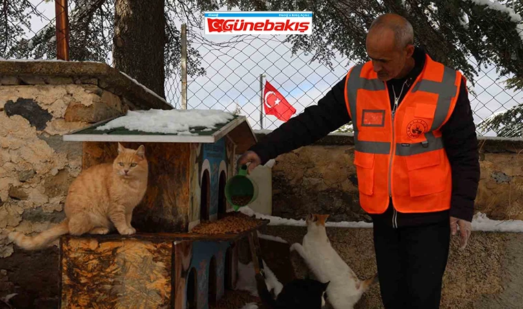 Elazığ’da Sokak Hayvanları İçin Doğaya Yem Bırakıldı