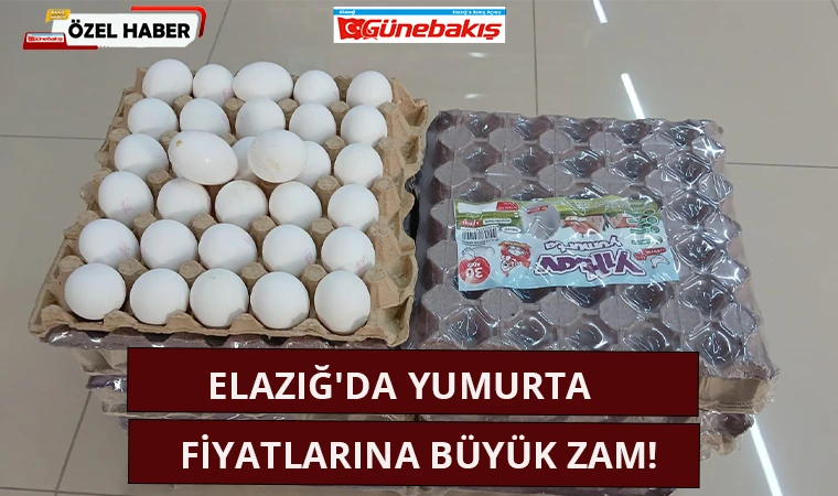 Elazığ'da Yumurta Fiyatlarına Büyük Zam!