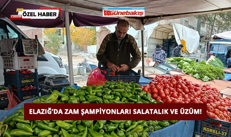 Elazığ’da Zam Şampiyonları Salatalık ve Üzüm!