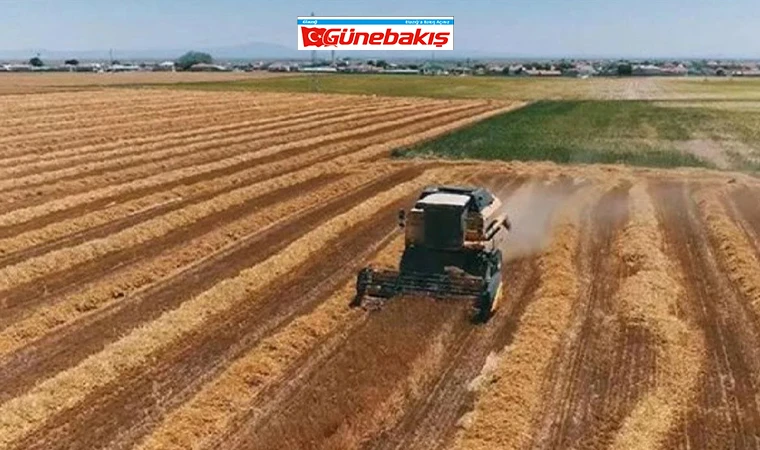 Tarımsal Arazilerin Kiralanması Nasıl Olacak? Bakanlık Açıkladı!