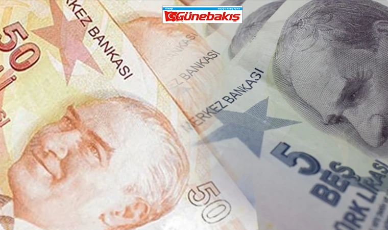 Yeni 5 ve 50 TL'lik Banknotlar Bugün Tedavüle Çıkıyor