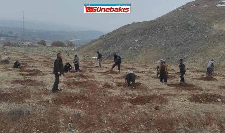 Baskil’de Erozyonla Mücadelede Büyük Adım