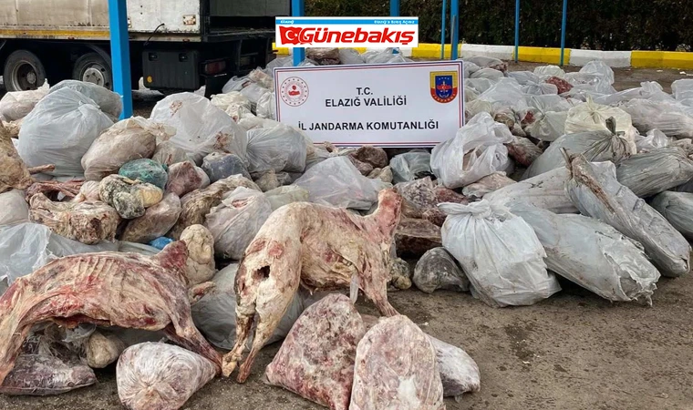 Elazığ’da 5.880 Kg Kaçak Et Yakalandı!