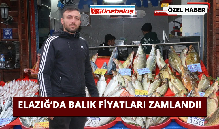 Elazığ’da Balık Fiyatları Zamlandı!