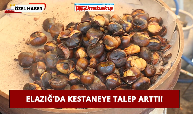 Elazığ’da Kestaneye Talep Arttı!