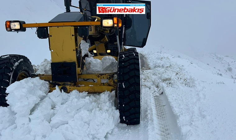 Elazığ'da Yolu Kapalı 3 Köy Kaldı!