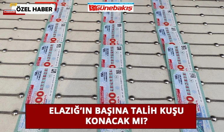 Elazığ’ın Başına Talih Kuşu Konacak Mı?