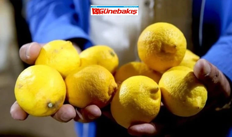 Limonda Yüksek Pestisit Oranı Çıktı!