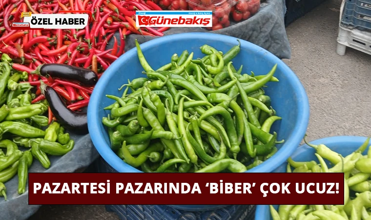 Pazartesi Pazarında ‘Biber’ Çok Ucuz!