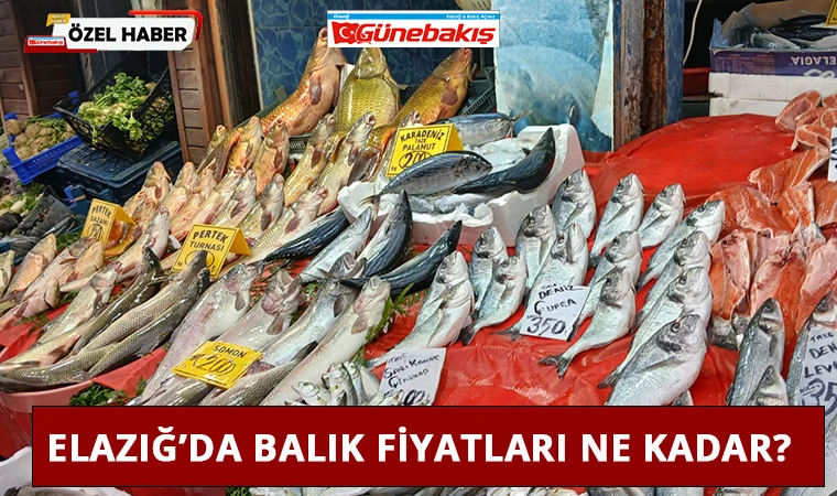 Elazığ’da Balık Fiyatları Ne Kadar?