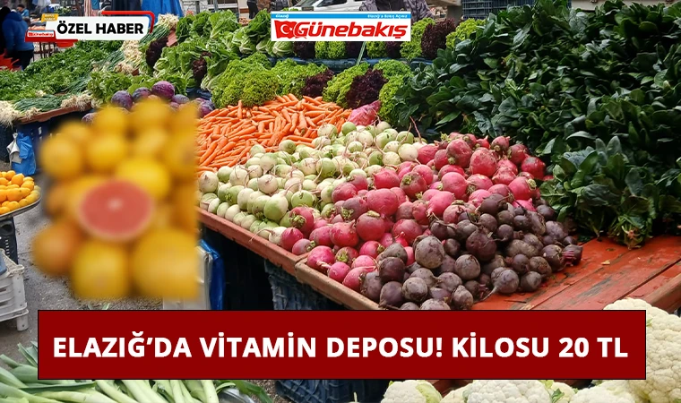 Elazığ’da Vitamin Deposu! Kilosu 20 TL