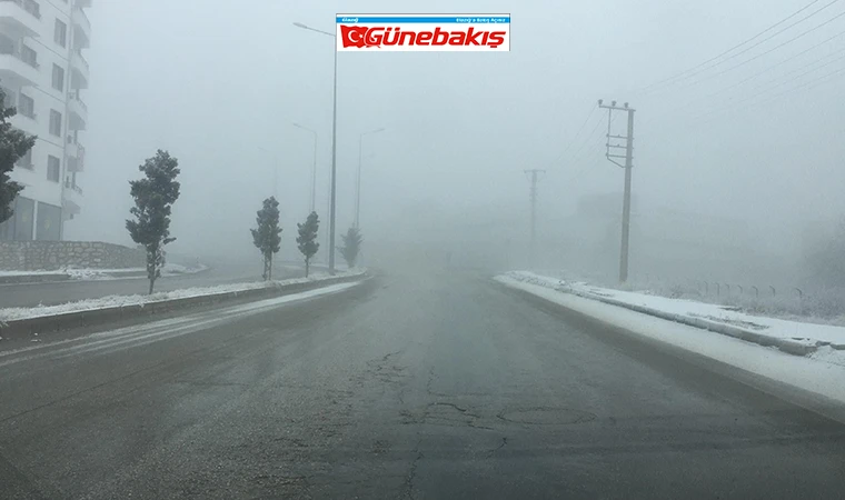 Elazığ'da Yoğun Sis Etkili Oldu