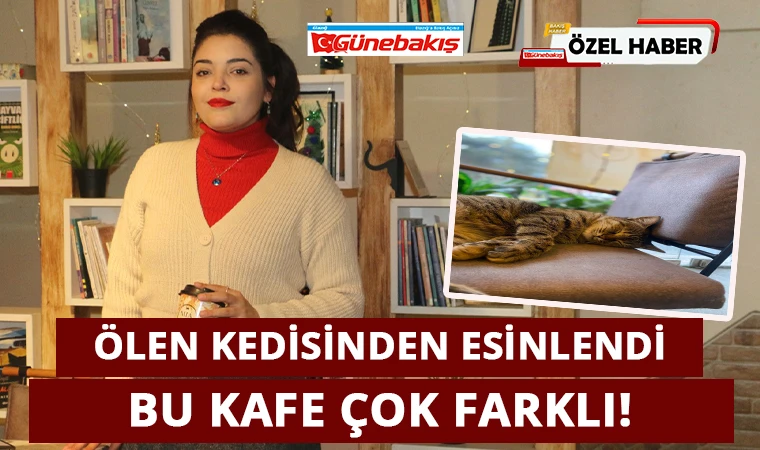 Ölen Kedisinden Esinlendi, Bu Kafe Çok Farklı!