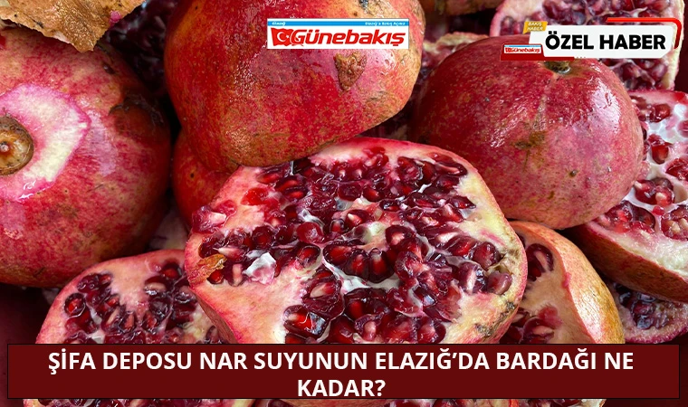 Şifa Deposu Nar Suyunun Elazığ’da Bardağı Ne Kadar?