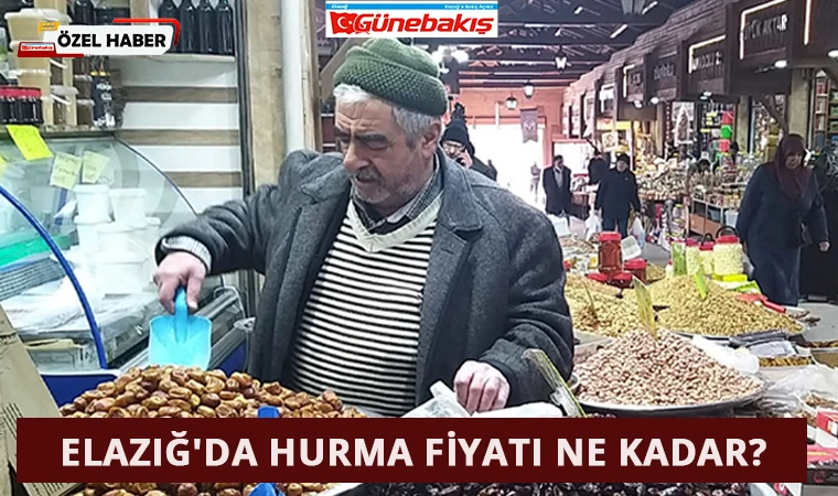 Elazığ'da Hurma Fiyatı Ne Kadar?