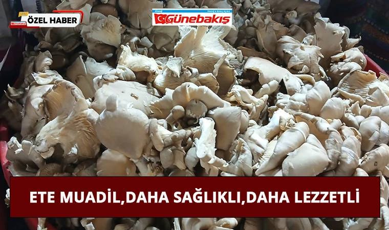 Ete Muadil, Daha Sağlıklı, Daha Lezzetli