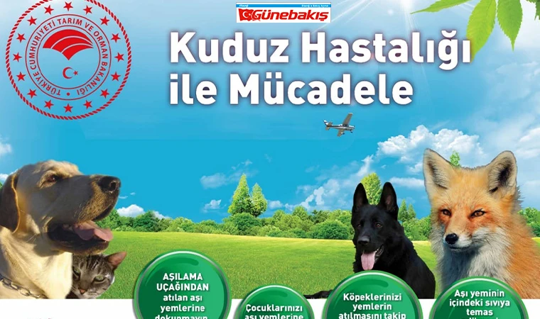 Kuduza Karşı Havadan İlaçlama Başladı