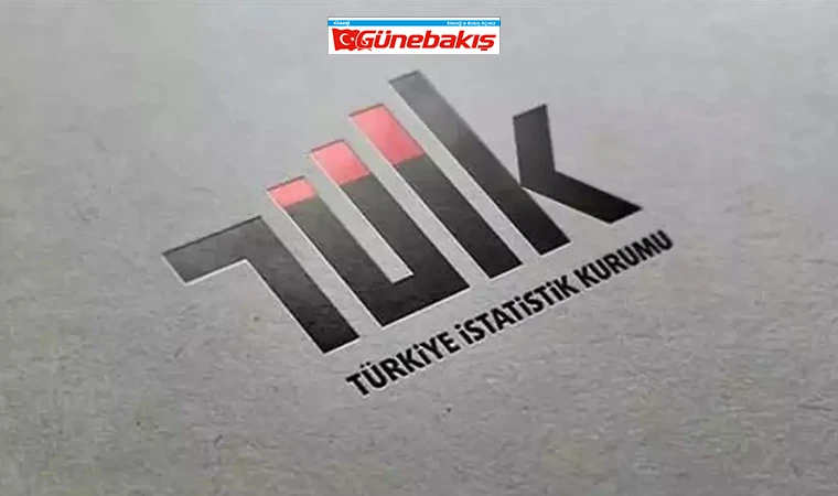 TÜİK, 2025 Enflasyon Sepetini Güncelledi