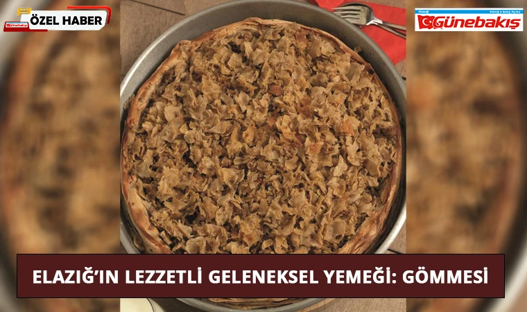 Elazığ’ın Lezzetli Geleneksel Yemeği: Gömmesi