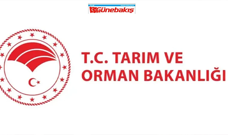 OGM, 4500 İşçi Alacak! Başvuru Tarihleri Belli Oldu