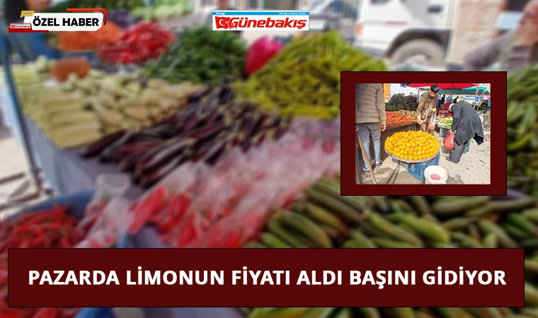 Pazarda Limonun Fiyatı Aldı Başını Gidiyor