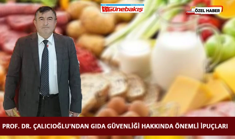 Prof. Dr. Çalıcıoğlu'ndan Gıda Güvenliği Hakkında Önemli İpuçları