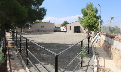 Poyraz At Harası Hizmete Hazır