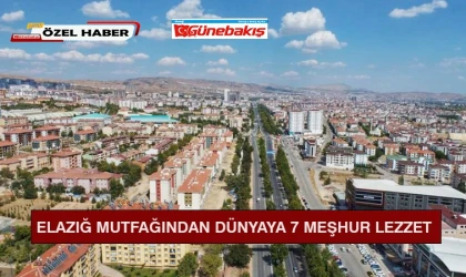 Elazığ Mutfağından Dünyaya 7 Meşhur Lezzet