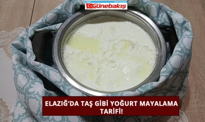 Elazığ’da Taş Gibi Yoğurt Mayalama Tarifi! 