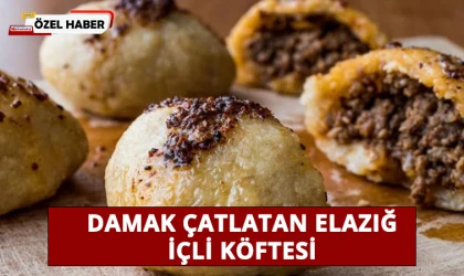 Damak Çatlatan Elazığ İçli Köftesi